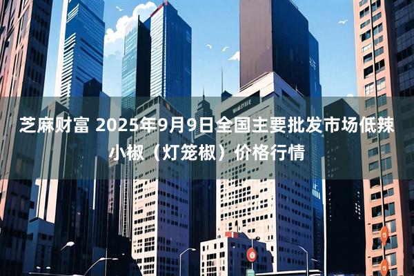 芝麻财富 2025年9月9日全国主要批发市场低辣小椒（灯笼椒）价格行情